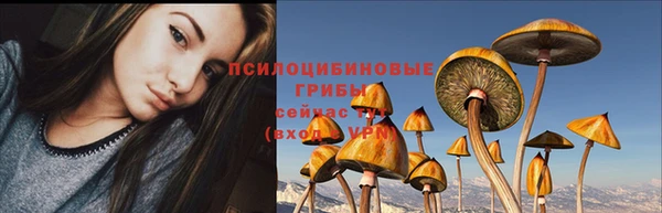 стафф Арсеньев