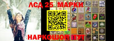 Альфа ПВП Можга