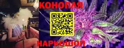 амф Нальчик
