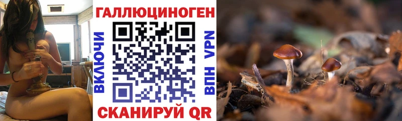 цена   Чапаевск  Псилоцибиновые грибы MAGIC MUSHROOMS 