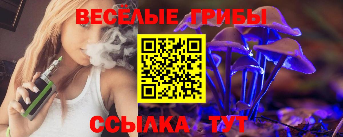Галлюциногенные грибы GOLDEN TEACHER Чапаевск