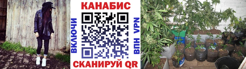 цены Чапаевск Канабис LSD WEED